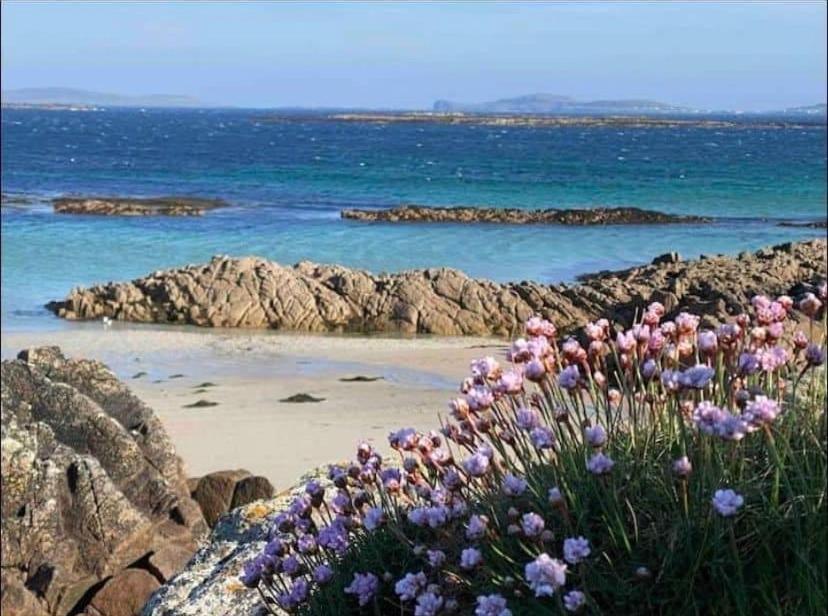 Drop Anchor House, Spacious 3 Bedroom Apartment, Fabulous Sea Views Cleggan エクステリア 写真